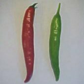 Capsicum Annuum USDA #439358 Hot Peppers (Type 1) HP2154-10_Base